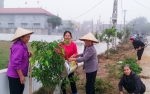 Hội viên phụ nữ xã Khánh An (Yên Khánh) trồng và chăm sóc cây xanh tại các tuyến đường trên địa bàn.