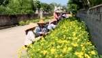 Một góc "Đường hoa Phụ nữ" tại huyện Nho Quan