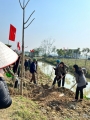 Phụ nữ huyện Nho Quan ra quân hưởng ứng Tết trồng cây