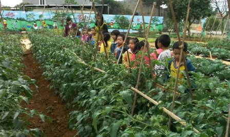 Các cháu trường mầm non Đông Sơn cùng các cô giáo thăm quan mô hình "Vườn rau sạch cho con".
