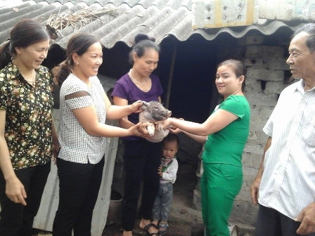 lãnh đạo Hội LHPN huyện Hoa Lư trao con giống cho gia đình PN nghèo đứng chủ xã Ninh Giang.