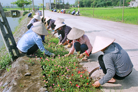 Hội viên phụ nữ xóm Tây, xã Ninh Giang (Hoa Lư) chăm sóc đường hoa.