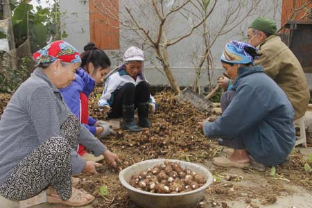 Nhiều phụ nữ huyện Nho Quan tham gia mô hình phát triển kinh tế tại địa phương. Ảnh: Trường Giang