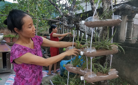 Phụ nữ thôn La Mai, xã Ninh Giang tận dụng vỏ chai nhựa tạo thành những chậu hoa làm đẹp mỗi gia đình.